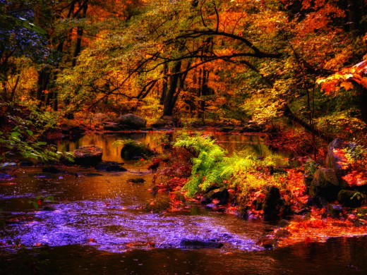 44066 (a): :1920x1440